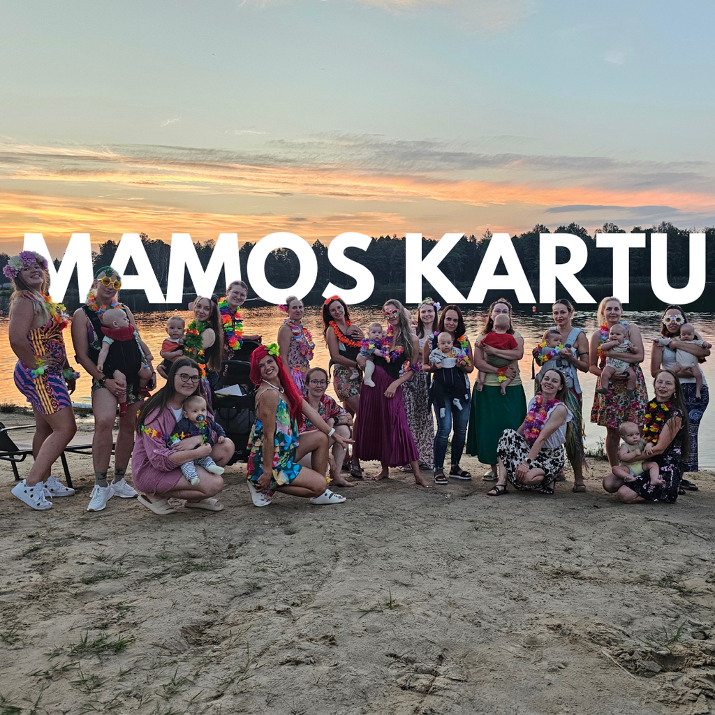 BŪTI MAMA NEREIŠKIA BŪTI VIENA: KAIP BENDRUOMENĖ KEIČIA MOTINYSTĘ