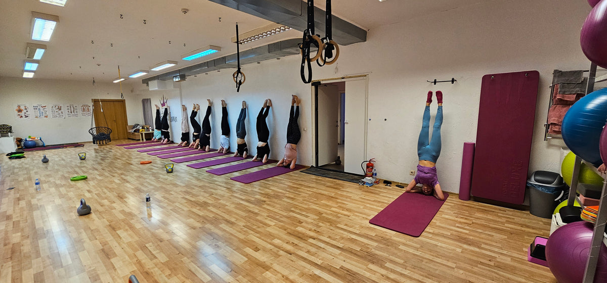 MasterFit sporto programa + abonementas 2k./sav.